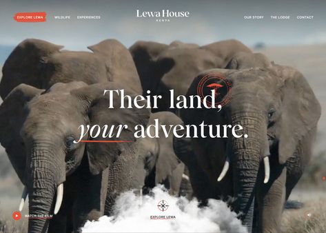 Safari Website Design, Wildlife Website Design, Nice Fonts, Hotel Restaurant Design, Website Design Trends, Web Design Examples, Best Landing Pages, News Web Design, Ui Design Website