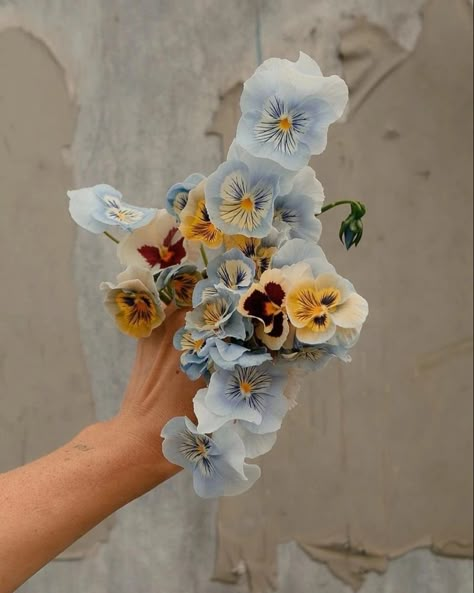 Pansy Bouquet, Bloom Theme, Russian Wedding, Boquette Flowers, Nothing But Flowers, Flower Therapy, Deco Floral, Bouquet Of Flowers, Flower Child