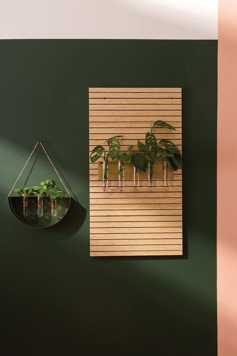 The Brilliant Hanging Propagation is designed to be mounted on the wall, in modern gold with five test tube bud vases. Perfect for propagating all your favorite plants. 16"x 3.25"x 6.5" Hanging Propagation Station, Propagation Wall, Hanging Propagation, Wholesale Decor, Test Tube Vase, Propagation Station, Free Furniture, Gaming Room Setup, Room Setup