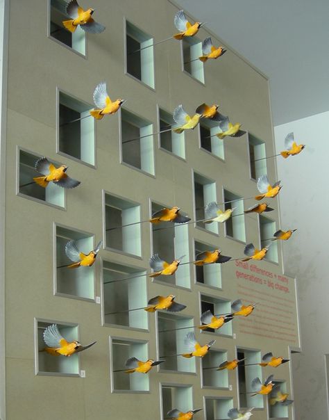 Bird Exhibition, Autumn Window Display, Bird Paradise, Interactive Exhibition, Window Display Design, Interactive Display, Museum Displays, Bird Theme, Exhibition Display