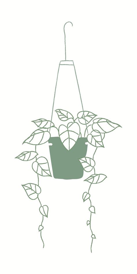 How To Draw Hanging Plants, Hanging Plant Sketch, Plant Line Illustration, Hanging Plant Drawing Simple, Hanging Plants Drawing Doodles, Hanging Flower Drawing, Hanging Plant Tattoo, Hanging Plant Drawing, Plant Drawings Simple