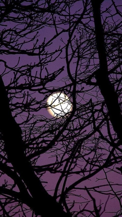 Gothic Moon Wallpaper, Purple Winter Wallpaper, Fall Purple, Purple Gothic, Whatsapp Wallpaper Cute, Aesthetic Wallpaper Iphone, Gothic Wallpaper, Dark Purple Aesthetic, Witchy Wallpaper