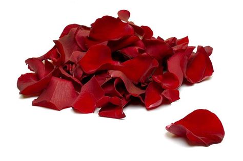 What to Do With Rose Petals—12 Ideas From the Kitchen to the Boudoir - The Grow Network : The Grow Network Uses For Rose Petals, Rose Petal Uses, Fresh Rose Petals, Rose Queen, Cheap Flowers, Amber Bottles, Dried Rose Petals, Rose Tea, Medicinal Plants