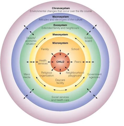 Ecological Systems Theory, Family Systems Theory, Social Work Theories, Notion Template For Work, Lifespan Development, Work Notion, Community Psychology, Social Learning Theory, Child Development Theories