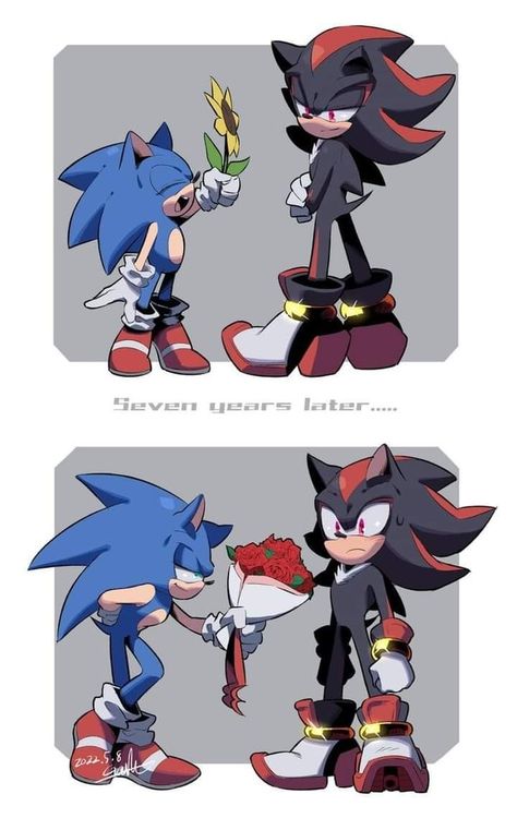 Shadow X Sonic, Sonic X Shadow Fanart, Sonic And Friends, Sonic X Shadow, Sonic Anime, Sonic & Knuckles, Sonic Heroes, Sonic Funny, Sonic Fan Characters