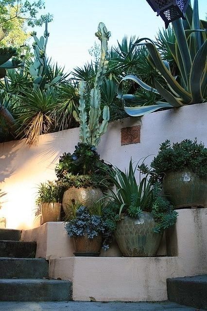 Arizona Backyard Landscaping, Arizona Backyard, Dubai Holidays, Mexico House, Bohemian Garden, Succulent Landscaping, Backyard Landscape, Modern Landscape Design, Desert Garden