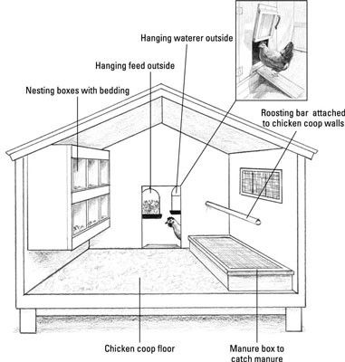 Garden Chicken Coop, Reban Ayam, Chicken Flock, Easy Chicken Coop, Cute Chicken Coops, Chicken Shed, Duck Coop, Chicken Coop Garden, Chicken Pen