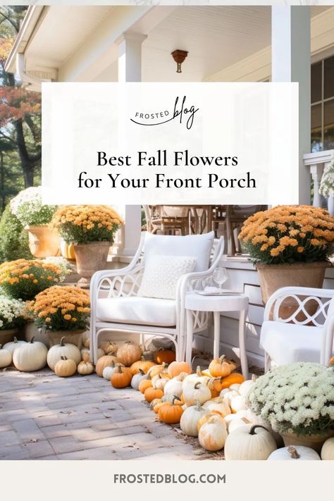 fall front porch decor Flowers For Pots, Potted Mums, Ornamental Kale, Fountain Grass, Coral Bells, Fall Porch, Black Eyed Susan, Seasons Of The Year, Best Seasons