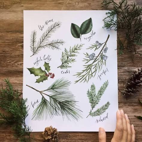 Juniper Tattoos, Botanical Christmas, Winter Watercolor, Christmas Card Art, Watercolor Christmas Cards, Floral Drawing, Holiday Wall Decor, Christmas Drawing, Christmas Wall Decor