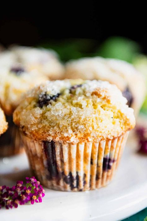 The best bakery-style blueberry muffins are moist and fluffy, bursting with fresh, juicy berries, and finished with a crunchy sugar topping. These sour cream blueberry muffins are also big, decadent, and totally satisfying! Sour Cream Blueberry Muffins, Bakery Style Blueberry Muffins, Homemade Blueberry Muffins, Easy Blueberry Muffins, Best Blueberry Muffins, Moist Muffins, The Seasoned Mom, Lemon Blueberry Muffins, Muffin Recipes Blueberry