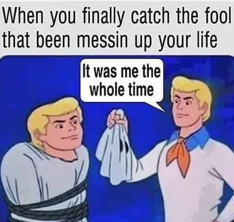 Scooby Doo Memes, Scooby Doo Mystery Incorporated, Abraham Hicks Quotes, E Card, Funny Posts, Dankest Memes, Funny Cute, Scooby Doo, I Laughed