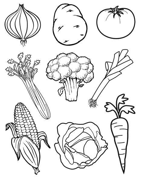 Vegetable Coloring Pages, Vegetable Drawing, Fruit Coloring Pages, Preschool Writing, Coloring Book Art, Art Drawings For Kids, Preschool Learning, Coloring Book Pages, Art Journals