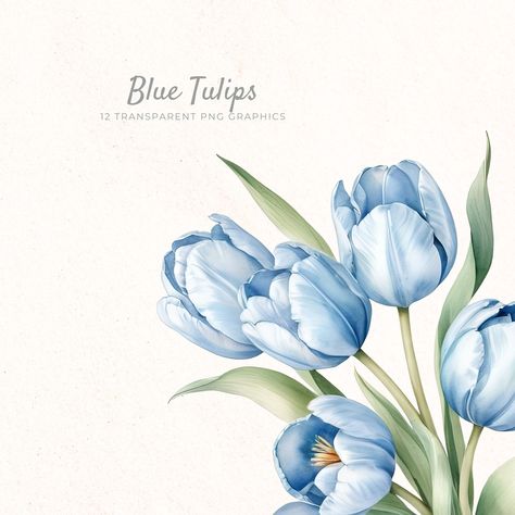 ~~ PLEASE NOTE - this is a digital download. ~~ No physical product will be shipped. Once you have placed your order you will receive a link to download your files. No waiting for designers - get access immediately! ------------------------------------------------------------------------------ Capture the essence of spring with our Watercolor Tulips Clipart. This collection features a beautiful blue floral design, perfect for adding a touch of elegance to your projects.  With instant download av Blue Tulips Painting, Blue Flowers Painting, Tulip Png, Blue Flower Watercolor, Tulips Clipart, Tulip Watercolor, Tulip Clipart, Flower Clip Art, Easter Invitations