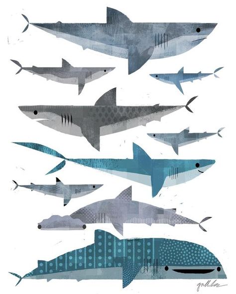 Gareth Lucas, Shark Illustration, Shark Lover, Paint Colors Benjamin Moore, Benjamin Moore Paint, Paint Color Palettes, Neutral Color Scheme, Shark Week, White Sharks