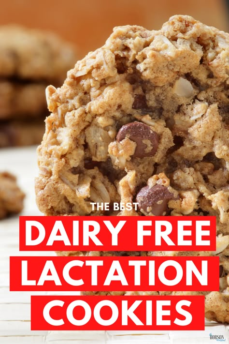 Dairy Free Lactation Cookies, Breastfeeding Cookies, Dairy Free Cookie Recipe, Dairy Free Coffee Creamer, Lactation Cookies Recipe, Breastfeeding Snacks, Dairy Free Breastfeeding, Dairy Free Coffee, Kid Recipes