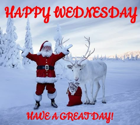 Wednesday Christmas Quotes, Christmas Wednesday, Wax Wednesday, Wednesday Christmas, Wednesday Love, Wednesday Morning Greetings, Wednesday Morning Quotes, December Morning, Good Morning Christmas