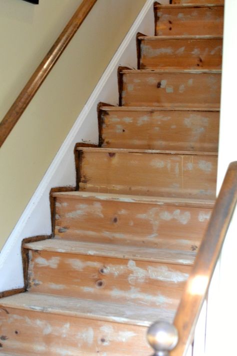 How to Remove Carpet from Stairs and Paint Them Remove Carpet From Stairs, How To Remove Carpet, Remove Carpet, Clean Hacks, Wooden Staircase, Stair Makeover, Removing Carpet, Diy Staircase, Stairs Makeover