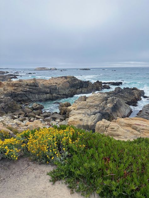 Monterey Aesthetic, Monterrey California, Marin California, Monterey Beach, Claremont California, Monterey Bay California, Malibu Mansion, Montecito California, 17 Mile Drive