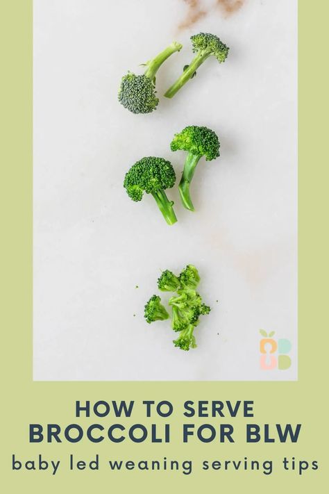 Broccoli For 6 Month Old, Broccoli Blw Recipes, Broccoli Baby Led Weaning, Broccoli Baby Food Recipe, Broccoli For Baby, Blw Broccoli, Baby Led Weaning 7 Months, Broccoli Baby Food, Roasting Broccoli In Oven