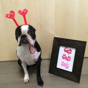 Dog Daycare Valentines Day, Dog Paw Valentines Craft, Valentines Dog Craft, Dog Paw Print Valentine Craft, Diy Valentine's Crafts, Pet Valentines, Pet Valentines Day, Valentine’s Day Dog Craft, Dog Paw Print Art Valentine