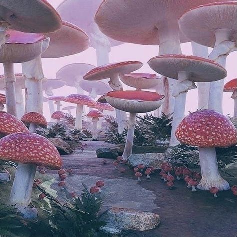 Cottagecore Mushroom Aesthetic, Mushroom Aesthetic, Mushroom Core, Alternative Universe, Victorian Gardens, Barbie Fairytopia, Cottagecore Mushroom, Sky Digital, Dreamcore Weirdcore