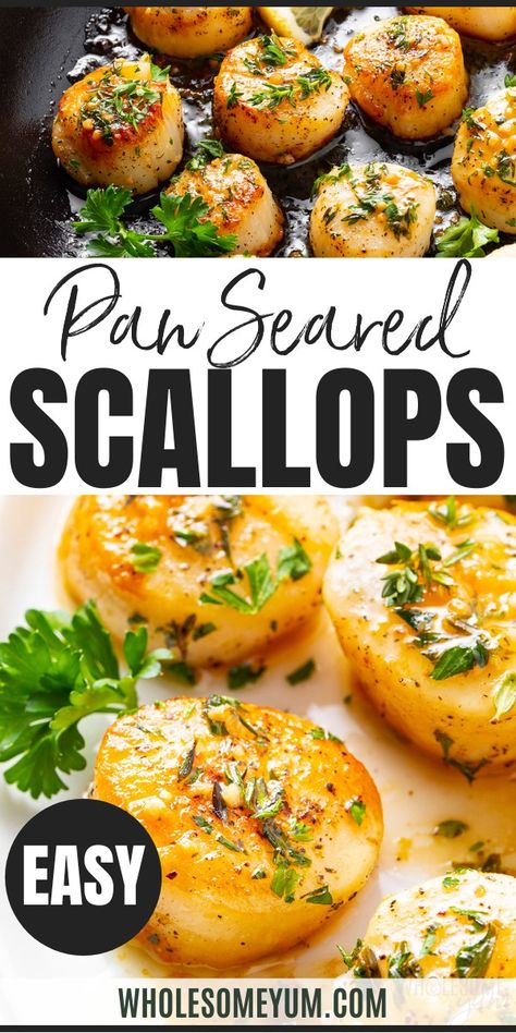 Pan Seared Scallops Recipe with Garlic Pan Fried Scallops Garlic, Fried Sea Scallops, Pan Seared Sea Scallops, How To Pan Fry Scallops, How To Fry Scallops, Gordon Ramsay Pan Seared Scallops, Sea Scallops Recipes, Sauteed Scallops Recipes, Healthy Scallops Recipes