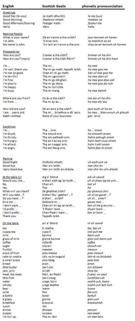 Some phrases in Scottish Gaelic - common greetings & at the table.  Most of the phrases are from the book "Everyday Gaelic" by Morag MacNeill Scottish Phrases Sayings, Scottish Language Gaelic Words, Gaelic Language Learning, Gaelic Words Scottish, Learning Scottish Gaelic, Tattoos In Irish Gaelic Words, Scots Gaelic Words, Gaelic Quotes Scottish, Scottish Slang Words