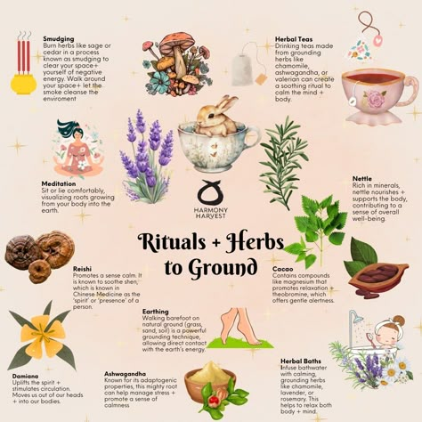 Grounding Herbs Witchcraft, Herbs For Grounding, Herbology Witchcraft, Grounding Ritual, Ancient Herbs, Wicca Herbs, Medicinal Herbs Remedies, Connect To Nature, Energy Shift