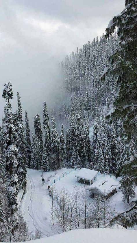 Nathia Gali in winters. Nathia Gali, Pakistan Culture, Easy Jet, Most Paused Movie Scenes, Fairy Queen, Hill Station, Aesthetic Photography Nature, Why People, Travel And Leisure