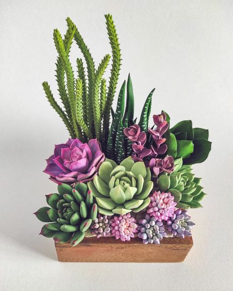 Colourful Succulents in a wooden box Polymer Clay Plant Pot, Polymer Clay Plants, Bielefeld Germany, Clay Projects For Kids, Clay Plant Pots, Asian Landscape, Purple Succulents, Flower Pot Art, Succulent Wreath