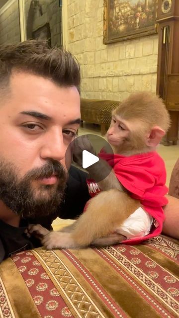 Silly Monkey Pictures, Funny Monkey Videos, Baby Monkey Videos, Monkey Funny Videos, Ugly Monkey, Monkey Videos, Funny Monkey Pictures, Banana Monkey, Skin Cleaning