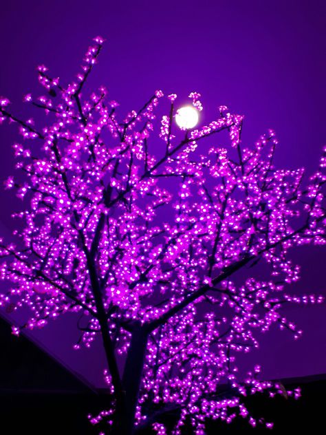 Everything Purple, Purple Pics, Pretty Purple, The Moon, Moon, Tumblr, Purple