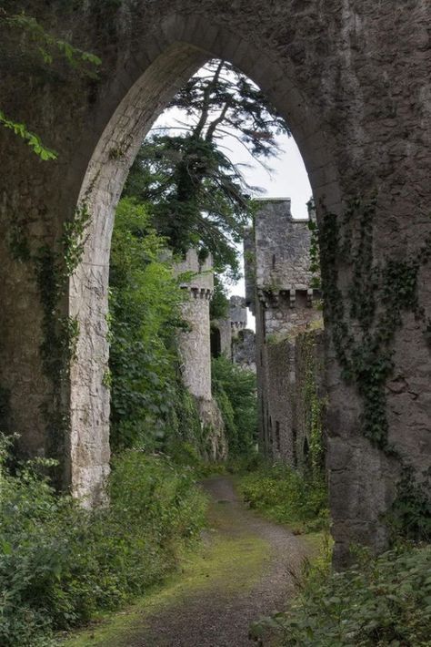 Gwrych Castle, European Scenery, Medieval Dynasty, Celtic Castle, Enchanted Castles, Castles In Wales, Chateau Medieval, Wales Travel, Snowdonia National Park