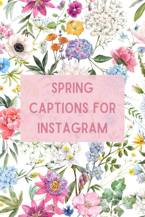 If you're looking for some inspiration for your Instagram captions this season, we've got you covered with these spring quotes for Instagram! May Instagram Captions, Wildflower Instagram Captions, Floral Instagram Captions, Botanical Garden Captions, Wildflower Captions, April Captions For Instagram, Spring Insta Captions, May Captions Instagram, Caption For Spring