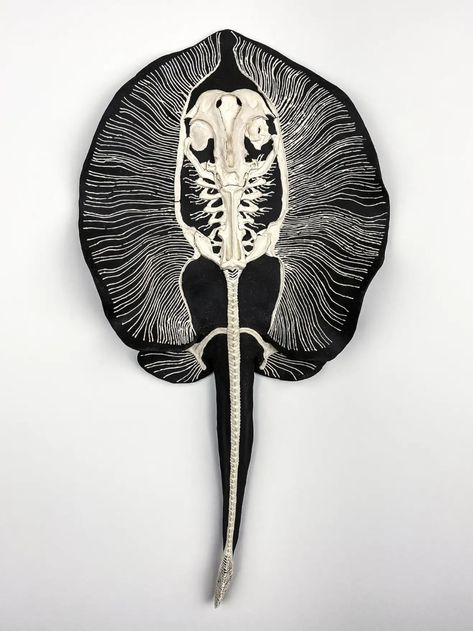 Grace Khalsa - Yellow Stingray For Sale at 1stDibs Stingray Anatomy, Stingray Skeleton, Mechanical Creatures, Animal Skeletons, Skeleton Tattoos, Gothic Aesthetic, Scientific Illustration, Ocean Creatures, Aqua Color