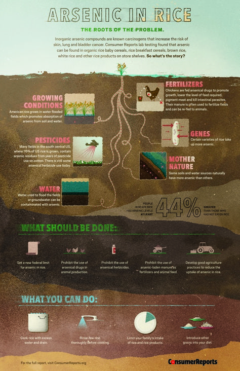 How to limit your arsenic intake Baby Cereal, Food Infographic, Organic Rice, Rice Cereal, Nature Water, Unhealthy Food, What’s Going On, Detox Drinks, What You Can Do