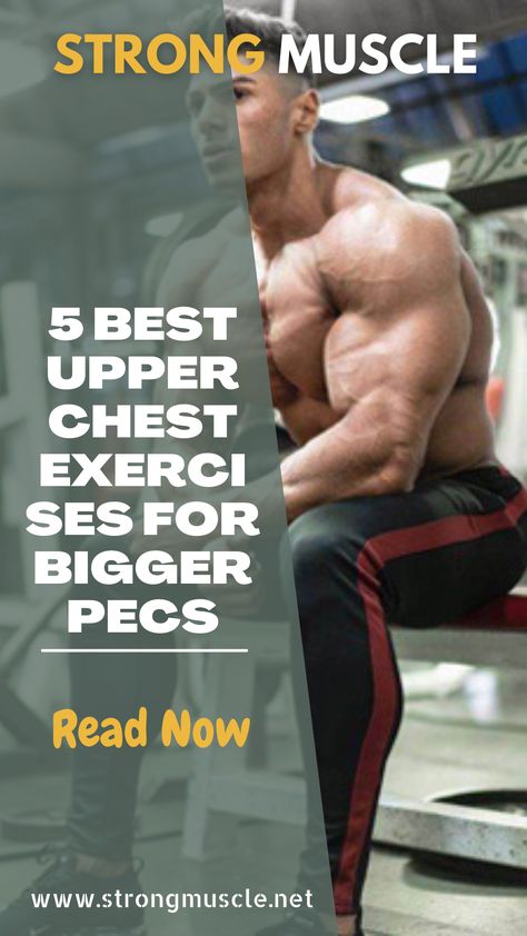 You must work on strengthening your upper pecs if you want to have a "large chest" appearance. You can improve your overall strength and performance in other activities, such as pushing or pulling activities, as well as your posture, by strengthening these muscles. Pecs Workout, Upper Chest Exercises, Best Full Body Workout, Chest Exercises, Muscle Gain, Chest Workouts, Strong Muscles, Gain Muscle, Body Workout