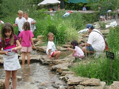 Stream dipping Creekside Landscaping, Forest Play, Natural Playscapes, Pond Dipping, Mini Pond, Outdoor Play Space, Children Park, Outdoor Education, Lawn Sprinklers