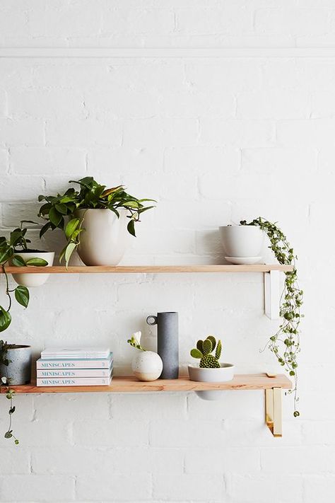 Touch of green. Instagram: @feguimaraess Indoor Plant Shelves, Floating Shelves Diy, Room Deco, Deco Floral, Natural Home Decor, Decoration Inspiration, Cool Ideas, Plant Shelves, Remodel Bedroom