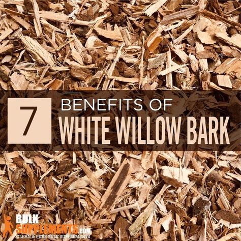 White Willow Bark Benefits, Willow Bark Benefits, Natural Fever Reducer, Natural Add Remedies, Improve Kidney Function, White Willow Bark, Lower Ldl Cholesterol, Fluid And Electrolytes, White Willow