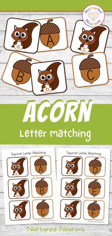 Squirrel and Acorn Letter Matching Game (Kindergarten Printable) - Nurtured Neurons Squirrels Preschool Theme, Woodland Animal Activities For Preschool, Kindergarten Classroom Essentials, Squirrel Preschool, Abc Templates, Game Kindergarten, Letter Matching Game, Cells Project, Learning Phonics