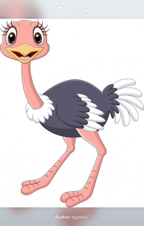 Ostrich Animal, Baby Ostrich, Pig Illustration, Animal Icon, Cute Cartoon Characters, Background White, Baby Cartoon, African Animals, Animal Clipart