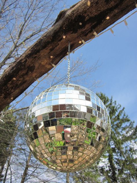 outside backyard disco ball (Asheville, NC) Glitter Ball, Painting Inspo, Asheville Nc, Disco Ball, Public Art, Asheville, Garden Ideas, Love It, 4th Of July