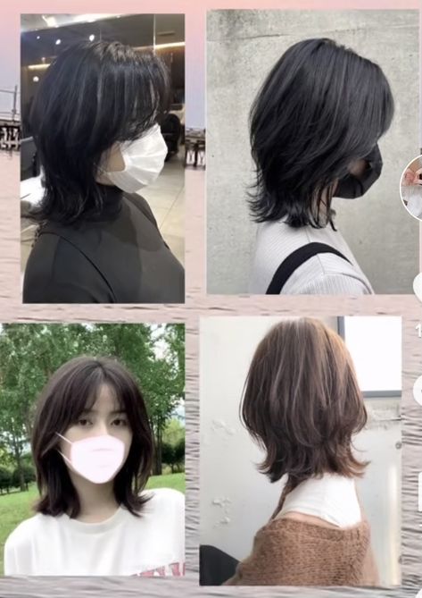 Mullet Shoulder Length, Mullet Wolf Cut Short, How To Style Short Hair With Bangs, Hush Cut Hair Short, Hush Cut Short, Short Wolfcut With Bangs, Short Haircut With Bangs, Shirt Hairstyle, Wolfcut Mullet