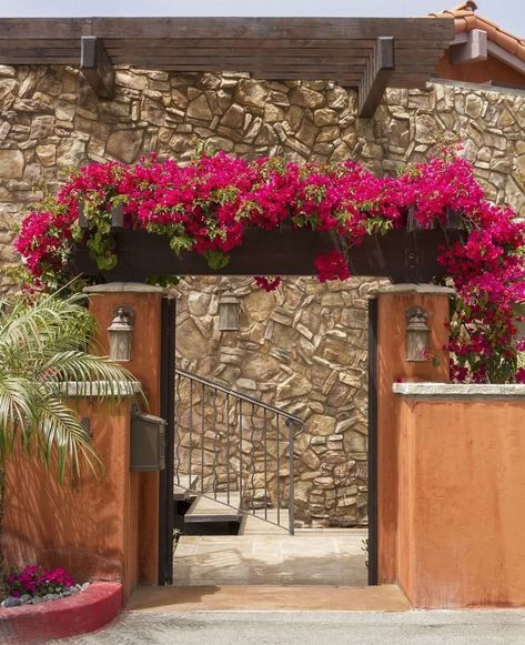 Bougainvillea Trellis, Monrovia Plants, Garden Entrance, House Gate Design, House Plants Decor, Village House Design, Outdoor Decor Backyard, Garden Landscape Design, Balcony Design