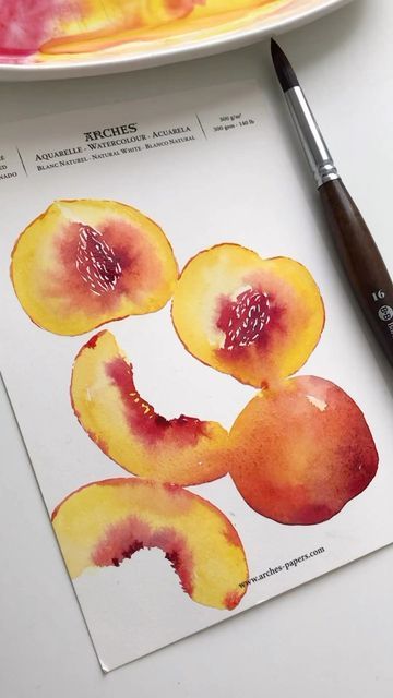 Peaches Watercolor Paintings, Water Colour Fruit Painting, Watercolor Artist Photoshoot, Watercolor Peach Tutorial, Peach Watercolor Painting, Watercolour Inspiration Aesthetic, Line Drawing Watercolor, Water Coloring Painting Ideas Aesthetic, Food Art Painting Watercolour