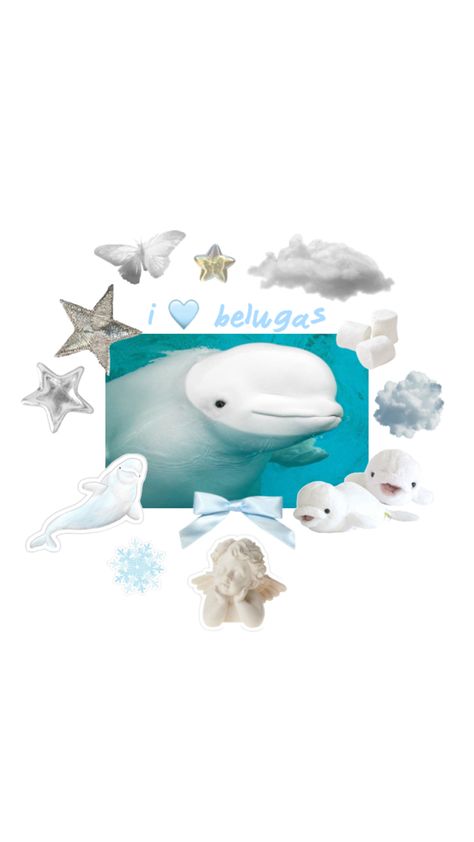 tags // whale, beluga, aesthetic Beluga Whale Aesthetic, Beluga Whale Wallpaper, Whale Wallpaper, Oceanography Marine Biology, Beluga Whales, Graphic Shapes Design, Graphic Shapes, Shapes Design, Beluga Whale