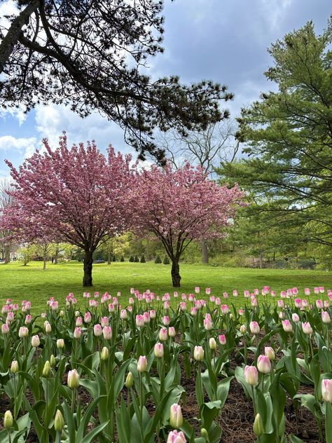 Gairloch gardens. Oakville, Ontario Oakville Ontario, Ontario