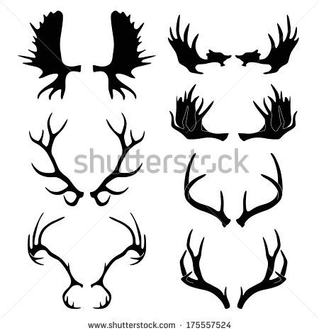 Silhouettes of deer and moose horns Moose Horns, Antler Tattoos, Moose Tattoo, Deer Skull Tattoos, Reindeer Horns, Hunting Tattoos, Tattoos Mandala, Moose Antlers, Deer Tattoo