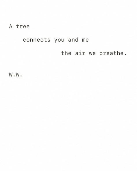 Thank You Poetry, Poems About Trees, Tree Poems, Tree Poetry, Nature Poetry, Wild Tree, Tree Poem, Nature Poem, Tree Quotes